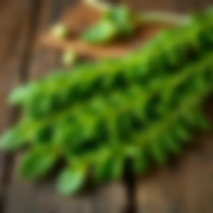 Fresh green spinago leaves on a rustic wooden surface