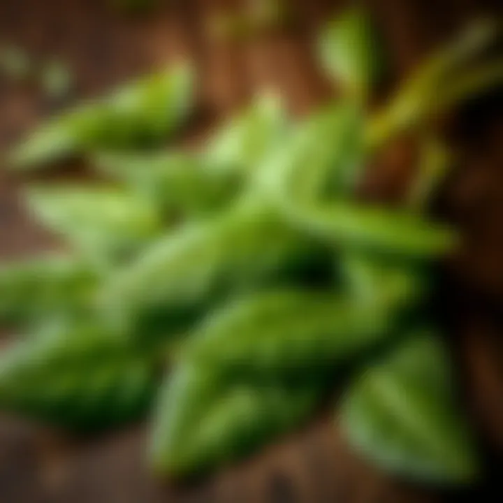 Close-up of spinago leaves arranged on a wooden surface showing texture and color